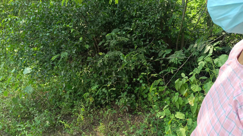 Apple baby: Studentă în uniformă în aer liber