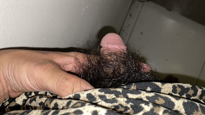 I Masturbated in the Woman's Closet (Jackson world)