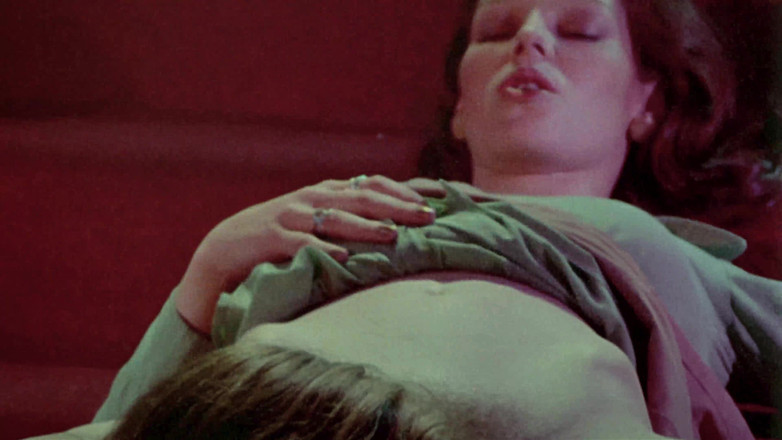 Vintage Erotic Archive: Pocta Annette Haven 03