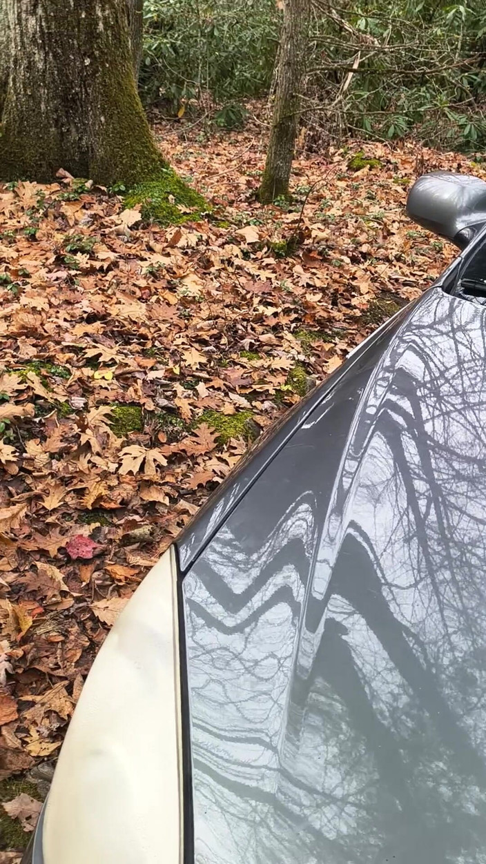 HerculesnVENUS: Sul squirta sulla strada non importa chi guarda mentre va...