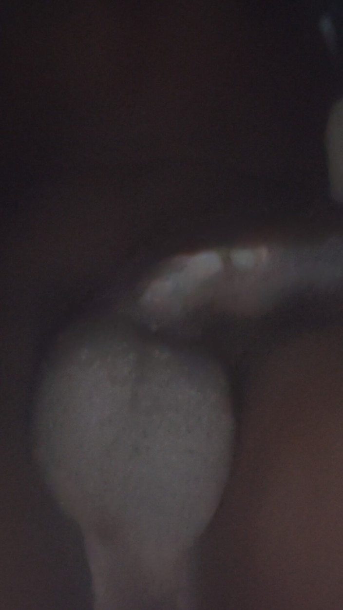 Brad: Indian Teen Solo Tribute Cum