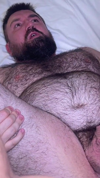 Orso spagnolo pugno e cazzo