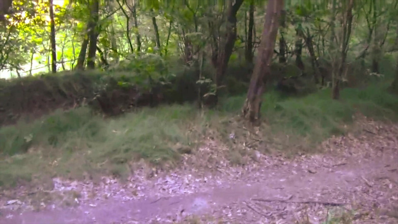BELLOeBIOTTO: Bonita y larga corrida, sin camisa, en un bosque público