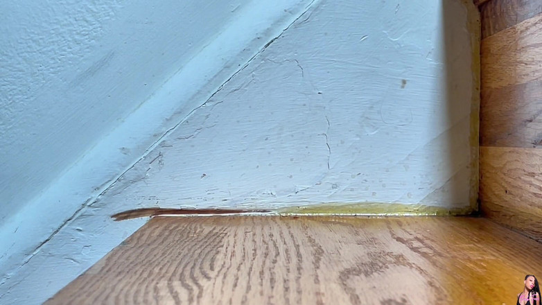 Pink Foxx: Subindo E Descendo Escadas