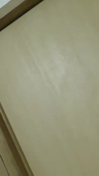 Asian Angel 23579