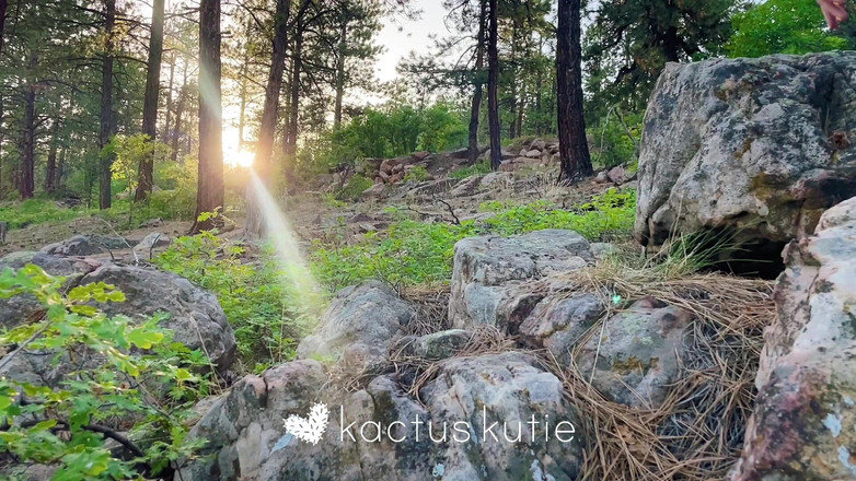 kactus kutie: Zbliżenie sunset siusiu z Bonni