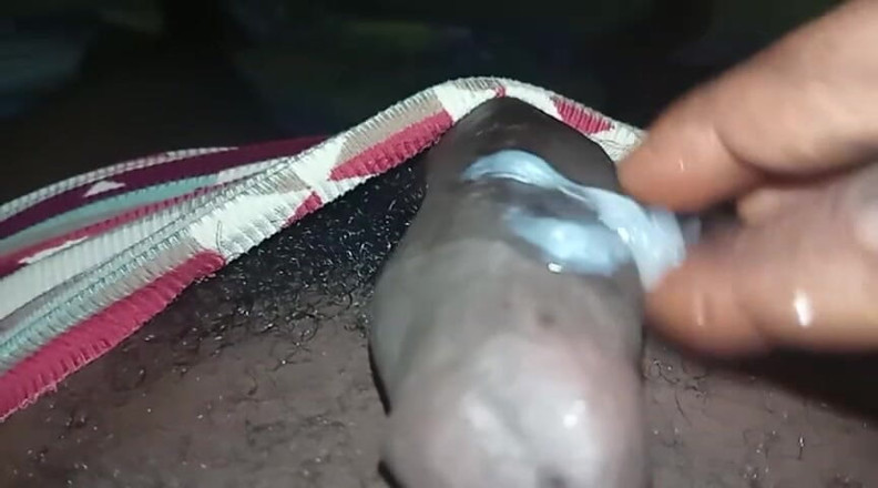 Badman4606: Kontol hitam terbesar yang pernah ada.