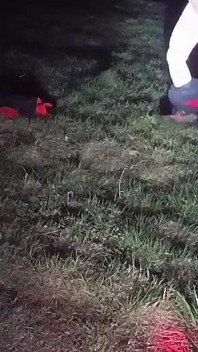 Saya menanggalkan dan keluar pada waktu malam