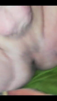 Jiggle