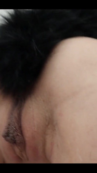 Kočička se předvádí se svou kočička