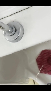 Piss in Urinal