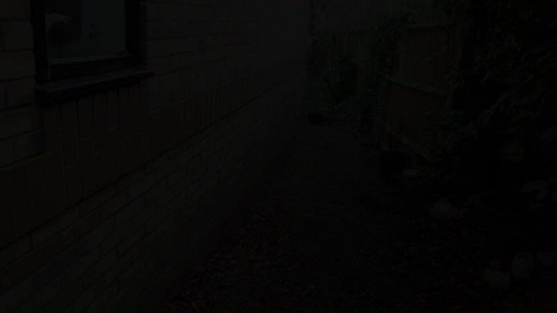 Dirty Doctors Clips: Pissing on The Gardener