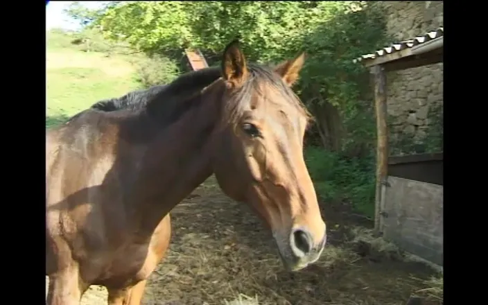 Little World: Two Horny Sluts Ass Fucked at the Stables and Cum...