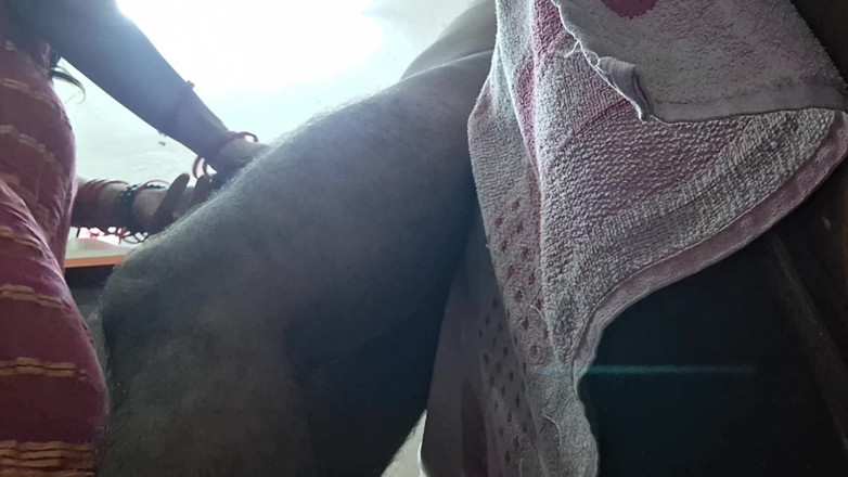 Busty Banuu: Sex dur cu cumnata Banuu cel mai bun videoclip porno...