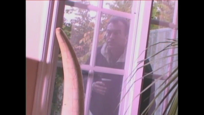 American Stallion: Two Beautiful Lesbians Lick Each Other's Pussy and Stick a...