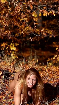 Autumn Colors