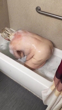 ฟองน้ําซุกซนโดนสบู่ช่วยตัวเองในอ่างหีเธอเธอถู