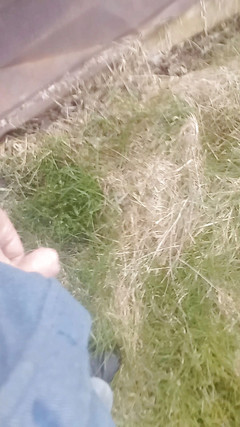 JG Risk: Video kompilace chcaní