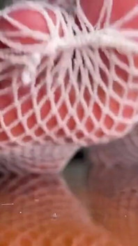 Pink foxx Pediküre Füße in netzstrümpfen