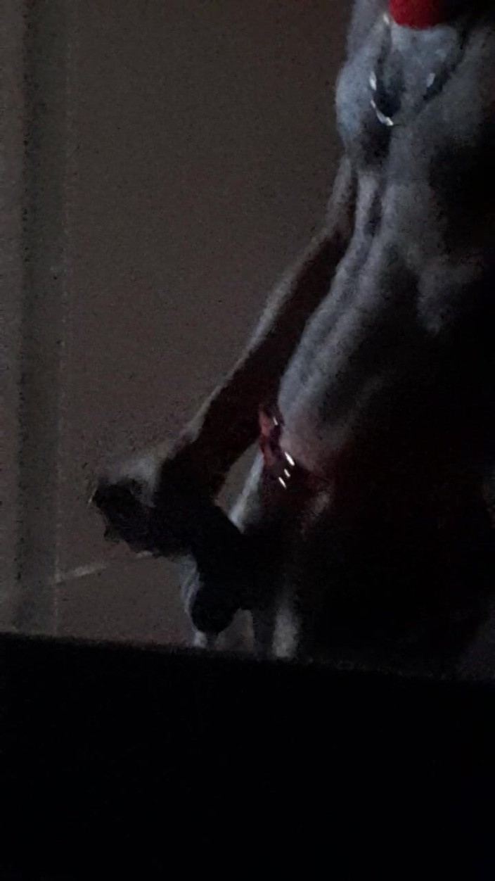 Dorian DomTop: Napalona Xmas Deer zaczęła się masturbować