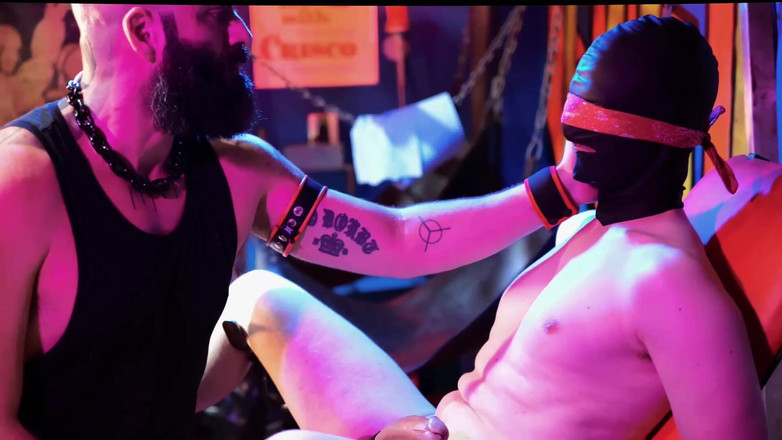 The Bearded Master: Mlácení koulí CBT část I od vousatým pánem
