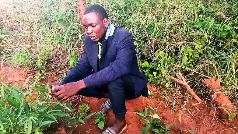 Judith xxx: Bello tesoro