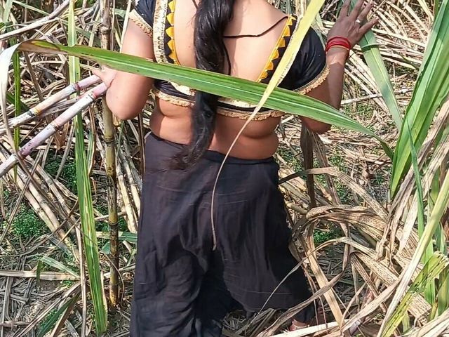 My Sexy Wife and I in the Sugarcane Field in Mast Chudai (X Desi Girl)