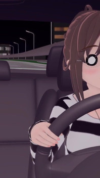 Racing Car Animation