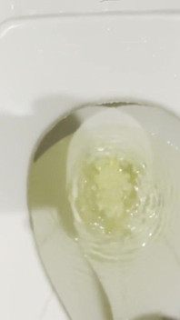 White Guy Pees in Public Toilet