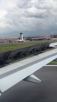 Public Dick Flashing in Airplane - Girl Brought Me to Cumshot in 2 Minutes