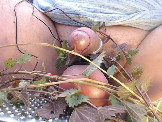 Gaylectrician: Розваги з кропивами