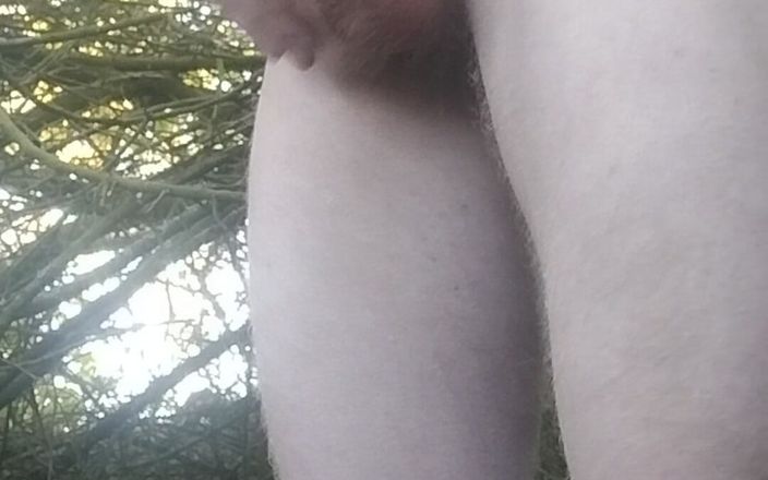 Alexswss: Dik của tôi