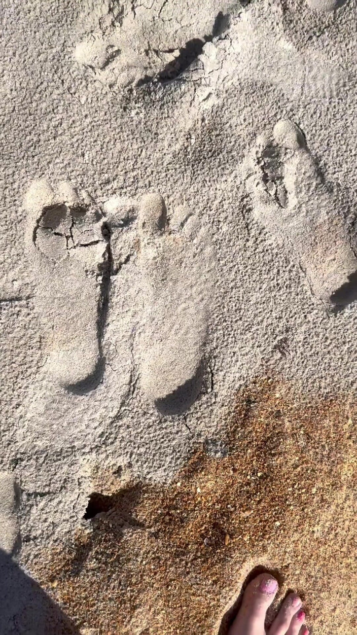 Peppermint Giantess: Vergleich der Größe 16 Fuß zu Sandabdrucken am Strand