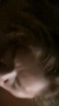 Blowjob bilik gelap
