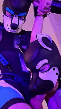 Pup Jett’s Deep Throat Training Ft. Lance Spears (pup Umbra) & Kaden Willoughby (pup Kaden)