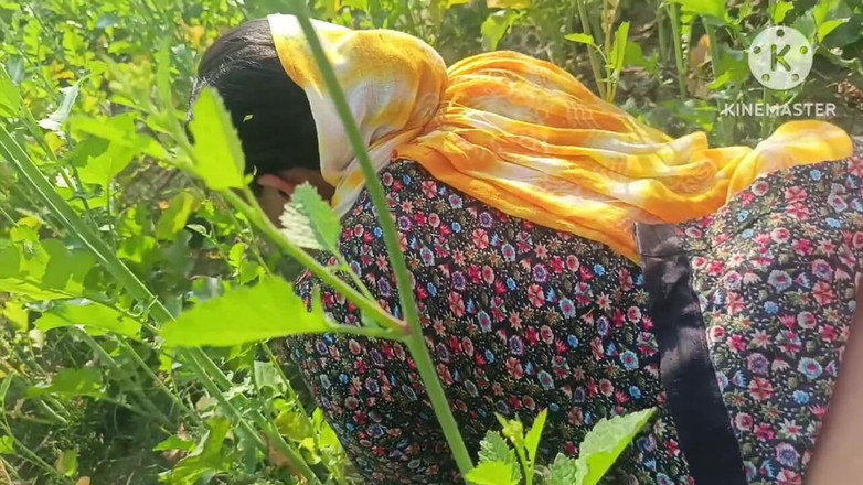 Savita5343: 村德西哥在芥末田地里被后入。户外性爱德西哥与小白