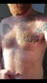 Ginger Fur in the Morning