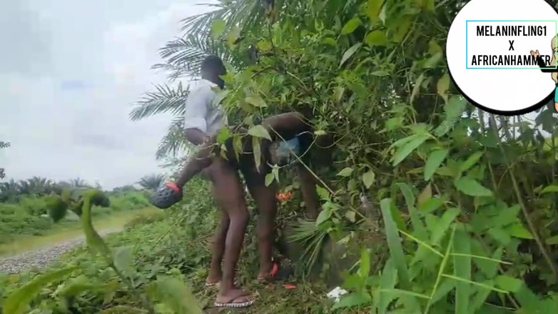 Melaninfling: Працює