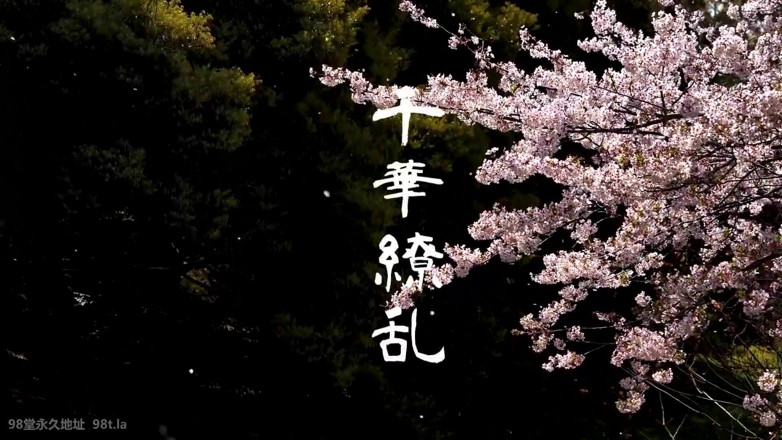 Studio Modern Shunga - JAV: Asijský anděl 15202