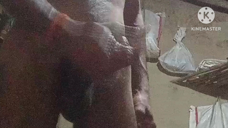 vijay Yadav: भाभी की चुदाई 9 इंच का लैंड से