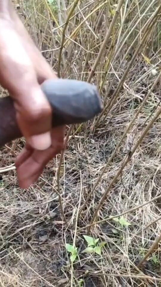 Desi Tits: Outdoor Cumshot Complaition in Jungle