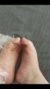 My Soft Soles