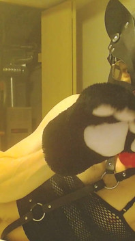Kinky Kitty Perfect Trans