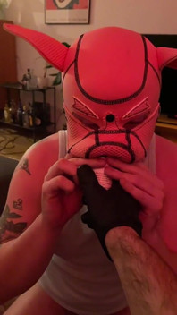 Sweaty Feet and Ash for the Slave Pig