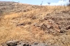 Bm Brilliant