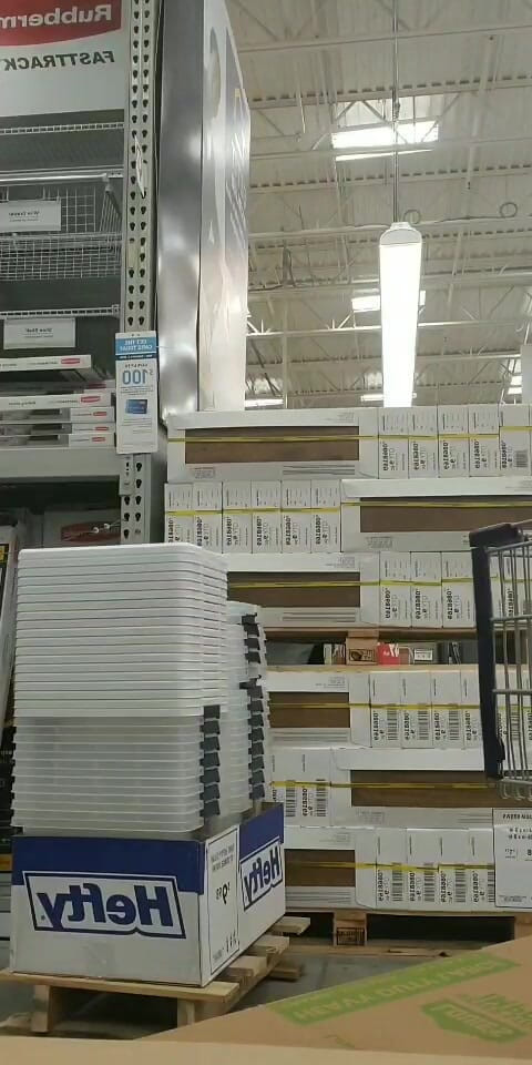 Annabelle Rogers: Berkelip pepek basah saya