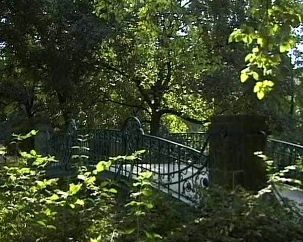 Busty German Sluts: This Naughty German Teen Enjoy Anal Penetration in Park