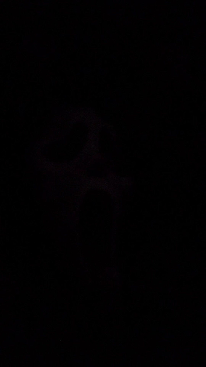 Anye Meshell: Ghostface Prend Son Pied Au Cinéma!