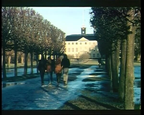GERMAN PORN CLASSICS: Joy cabalga a Suecia