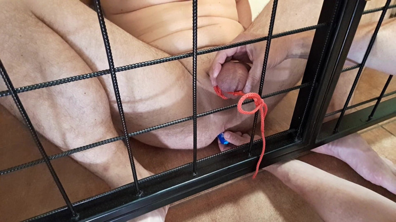 Master Drex: Tied by balls